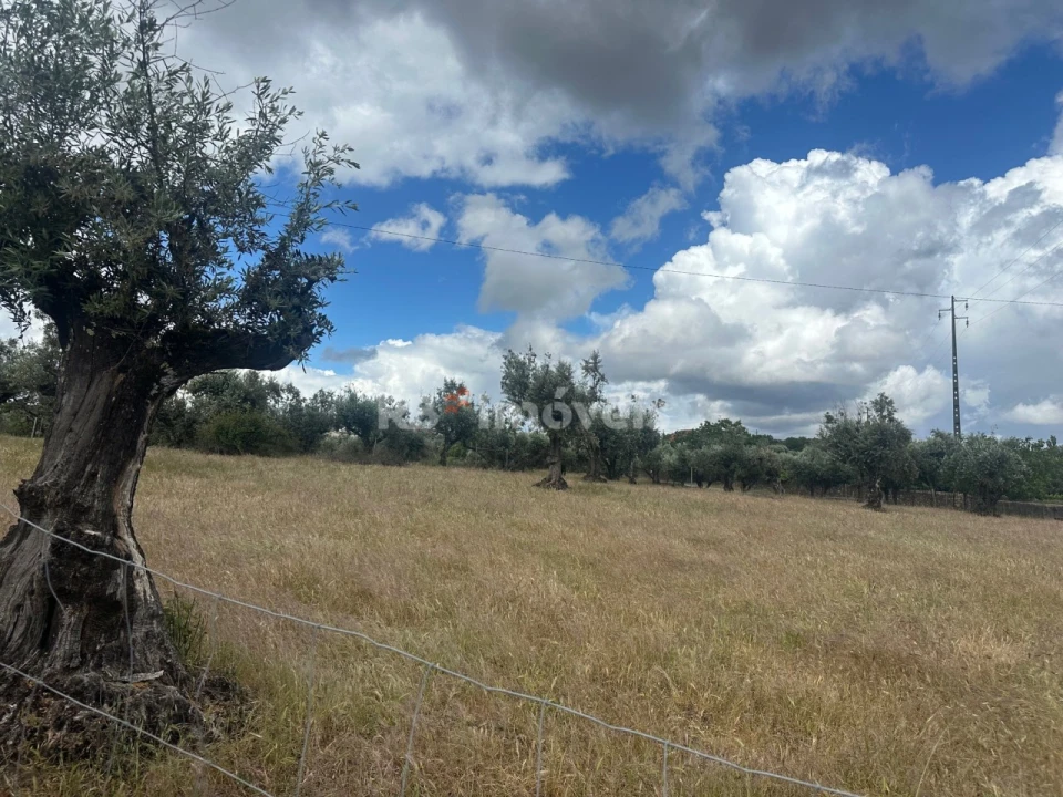 Terreno Agricola ou Rústico para Venda em Comenda Foto 2