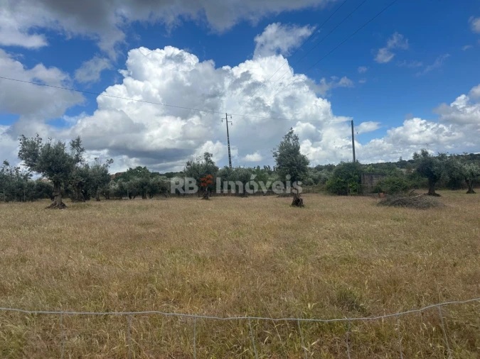 Terreno Agricola ou Rústico para Venda em Comenda Foto 3