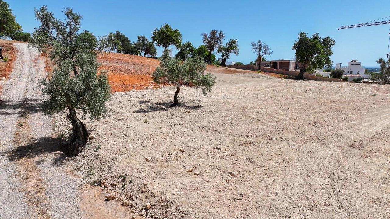 Terreno para para venda em Almancil Foto 13