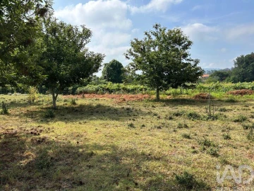 Quinta T3 para Venda em Fornelos e Queijada