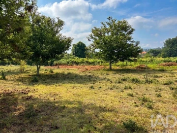 Quinta T3 para Venda em Fornelos e Queijada
