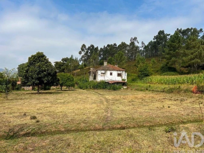 Quinta T3 para Venda em Fornelos e Queijada Foto 2