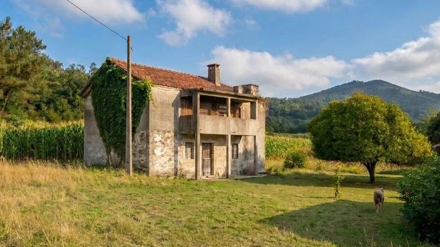 Quinta T3 para Venda em Fornelos e Queijada