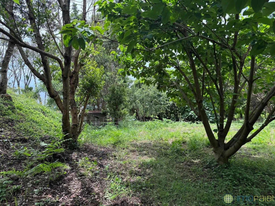 Moradia T4 para Venda em Capelo Foto 12