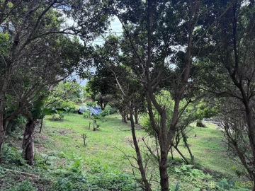 Moradia T4 para Venda em Capelo