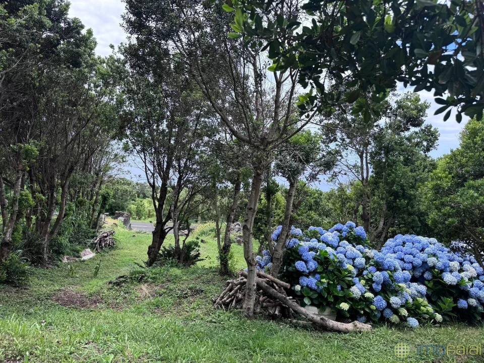Moradia T4 para Venda em Capelo Foto 15