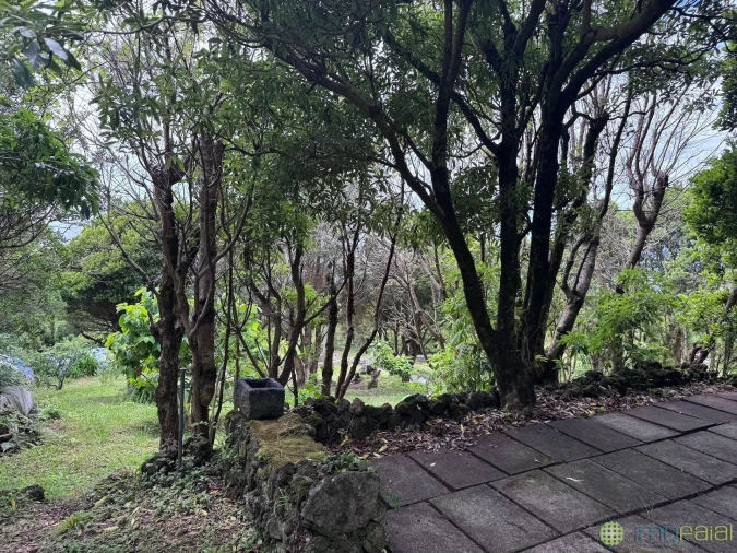 Moradia T4 para Venda em Capelo Foto 10