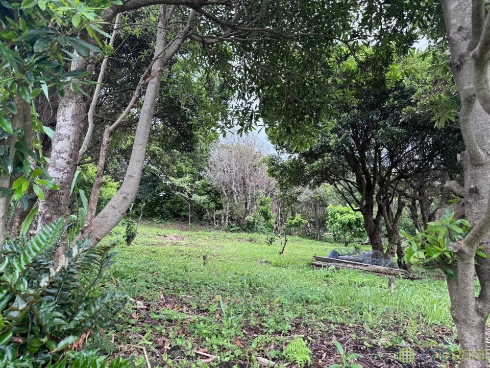 Moradia T4 para Venda em Capelo Foto 22