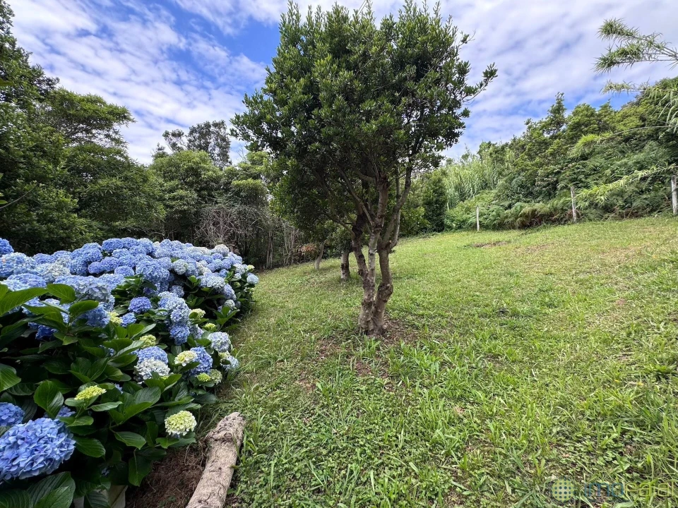 Moradia T4 para Venda em Capelo Foto 18