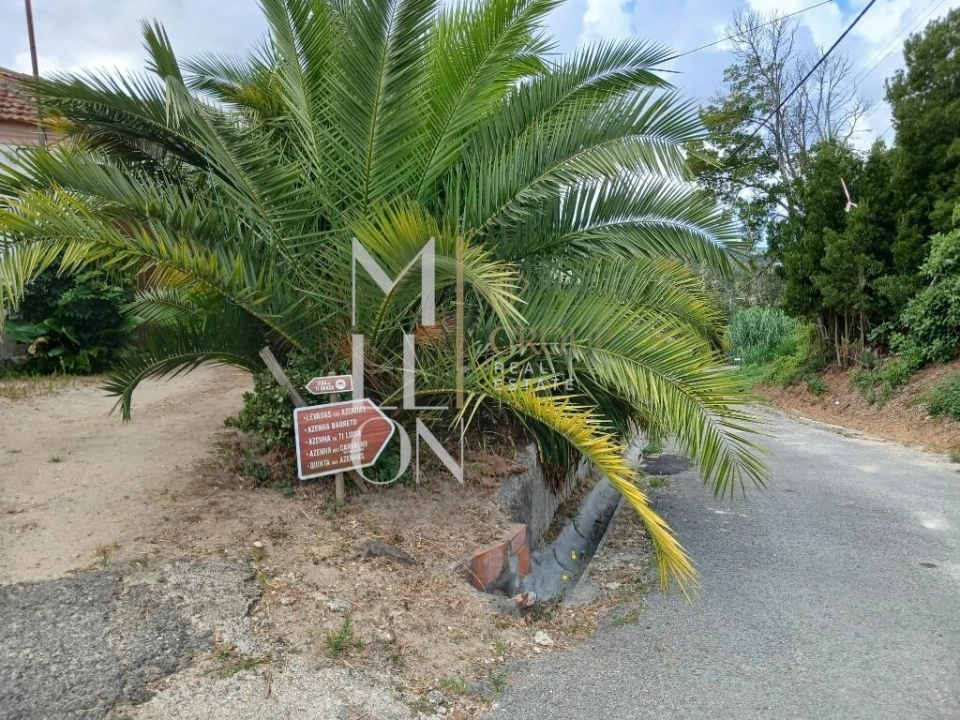 Moradia T1 para Venda em Soza Foto 28
