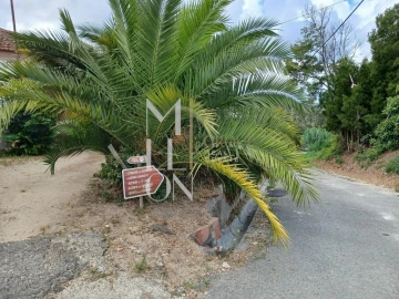 Moradia T1 para Venda em Soza