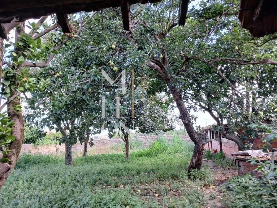 Moradia T1 para Venda em Soza Foto 23