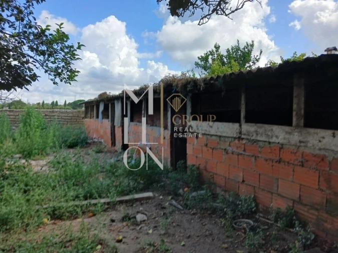 Moradia T1 para Venda em Soza Foto 25