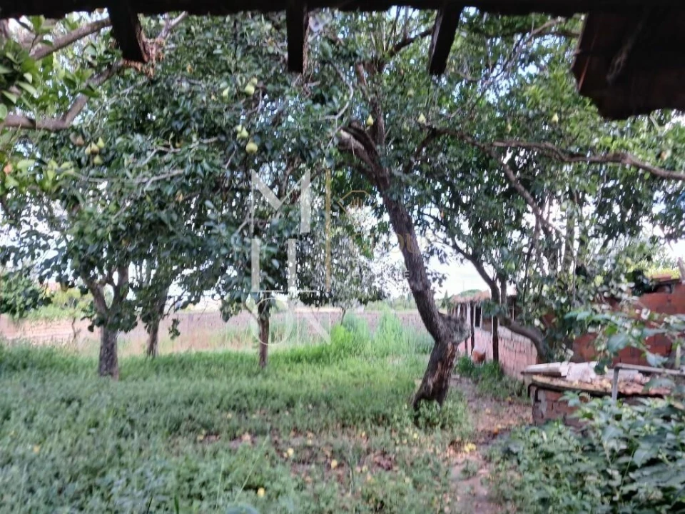 Moradia T1 para Venda em Soza Foto 22