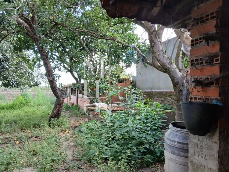 Moradia T1 para Venda em Soza Foto 24