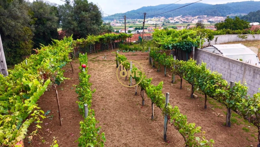 Terreno para Venda em Milhazes, Vilar de Figos e Faria Foto 6