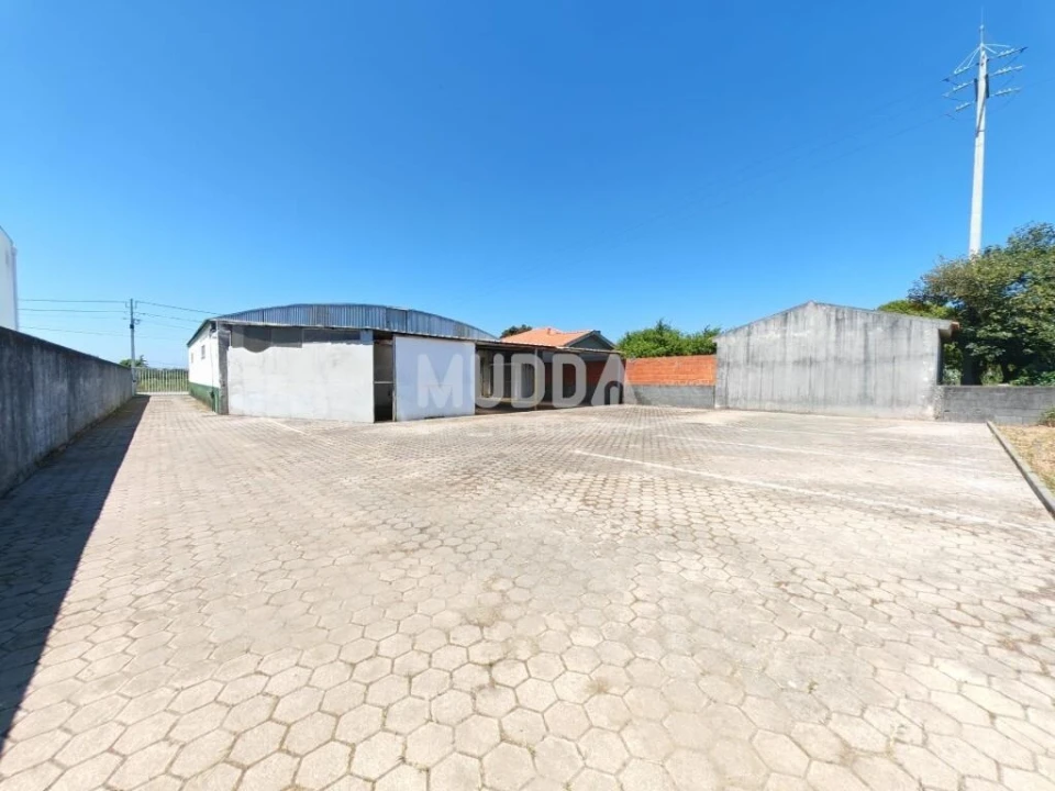 Armazém para Arrendamento em Oliveirinha Foto 2