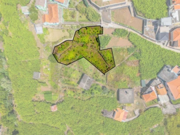 Terreno para Venda em São Vicente