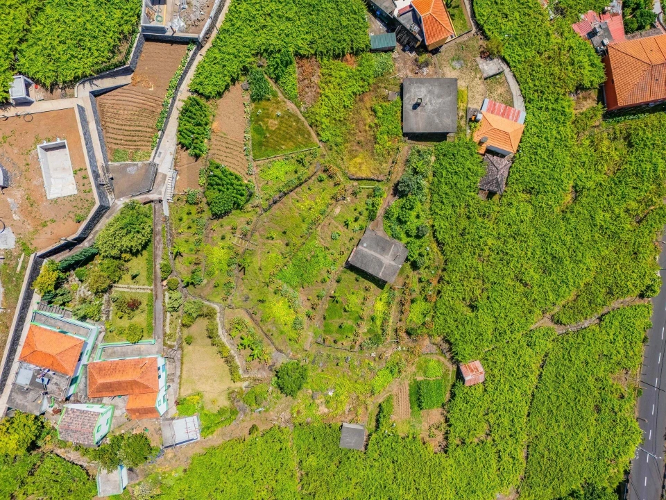 Terreno para Venda em São Vicente Foto 6