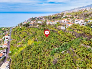 Terreno para Venda em Arco da Calheta