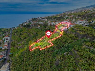 Terreno para Venda em Arco da Calheta