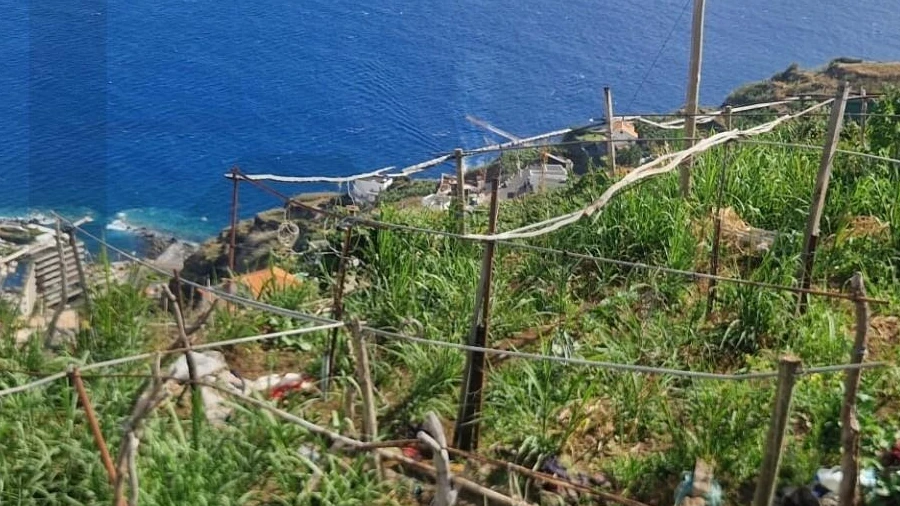 Terreno para Venda em Arco da Calheta