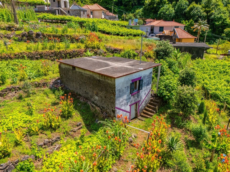 Terreno para Venda em São Vicente Foto 5