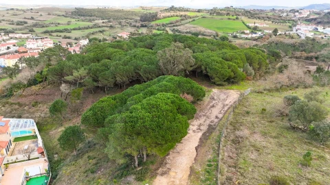Terreno para Venda em Venda do Pinheiro e Santo Estêvão das Galés