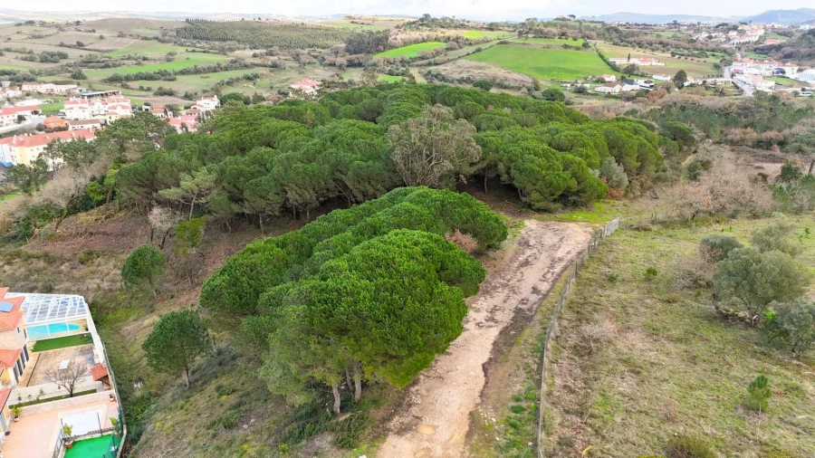 Terreno para Venda em Venda do Pinheiro e Santo Estêvão das Galés Foto 4