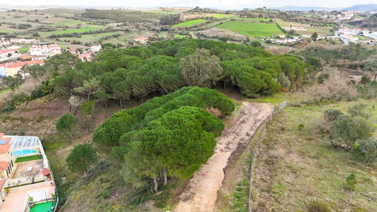 Terreno para Venda em Venda do Pinheiro e Santo Estêvão das Galés Foto 4