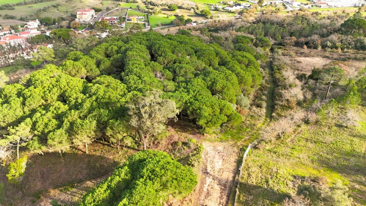 Terreno para Venda em Venda do Pinheiro e Santo Estêvão das Galés Foto 2