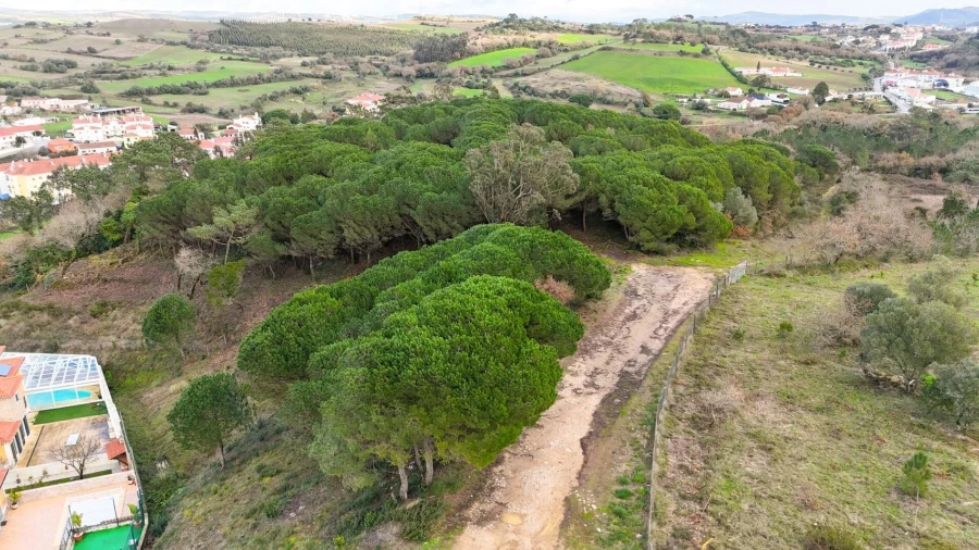 Terreno para Venda em Venda do Pinheiro e Santo Estêvão das Galés
