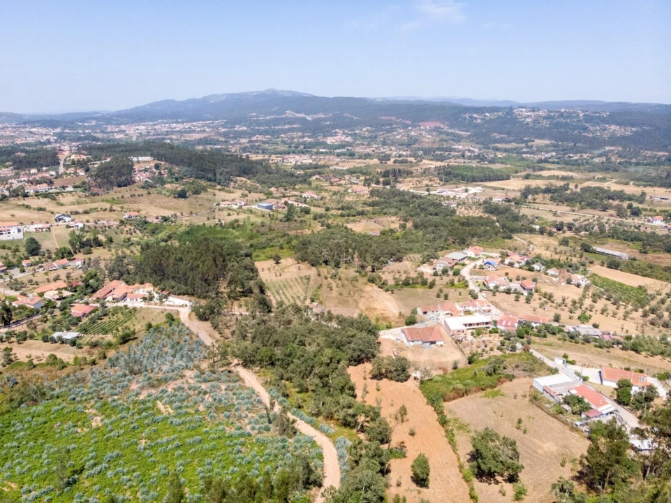 Terreno para Venda em Chão de Couce Foto 23