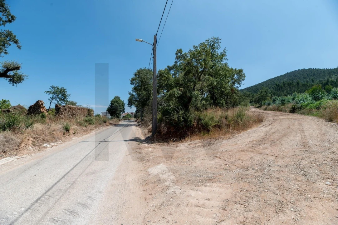 Terreno para Venda em Chão de Couce Foto 2