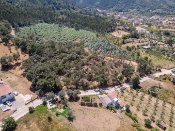 Terreno para Venda em Chão de Couce