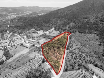 Terreno para Venda em Chão de Couce