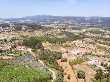 Terreno para Venda em Chão de Couce