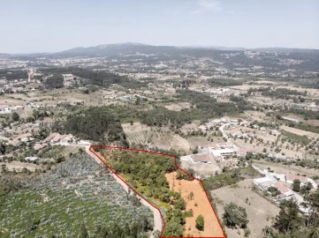 Terreno para Venda em Chão de Couce