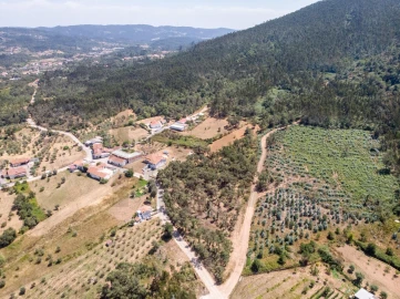 Terreno para Venda em Chão de Couce
