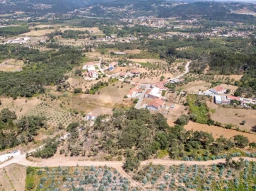 Terreno para Venda em Chão de Couce