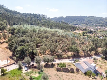 Terreno para Venda em Chão de Couce