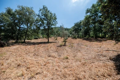 Terreno para Venda em Chão de Couce