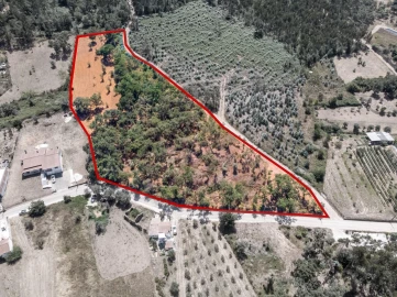 Terreno para Venda em Chão de Couce