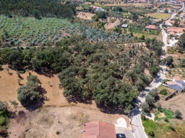 Terreno para Venda em Chão de Couce