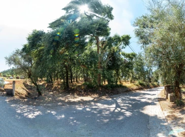 Terreno para Venda em Chão de Couce