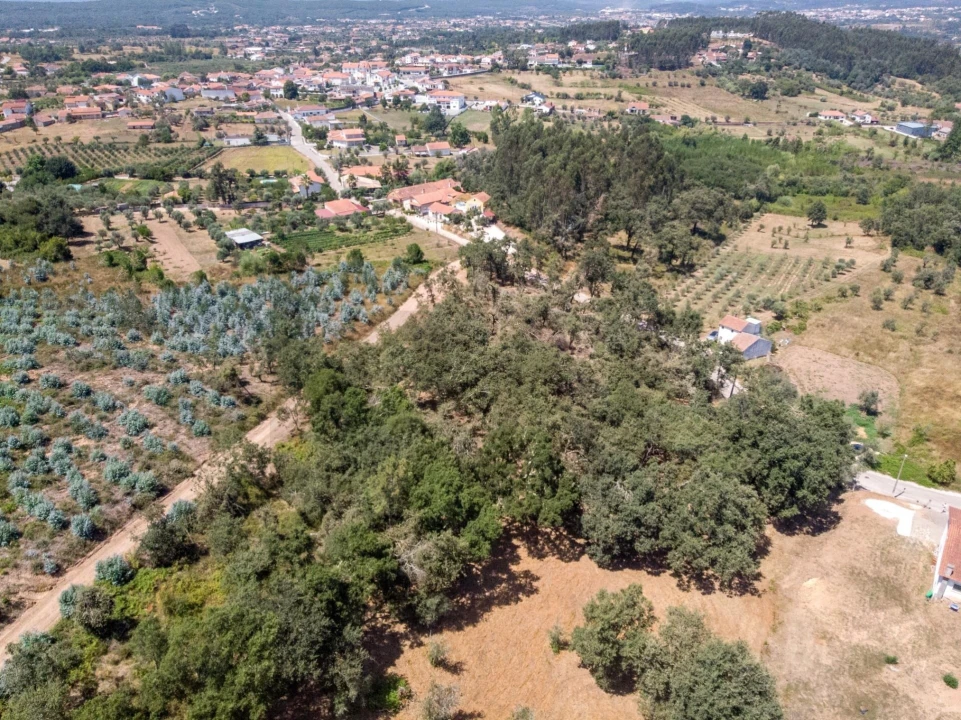 Terreno para Venda em Chão de Couce Foto 25
