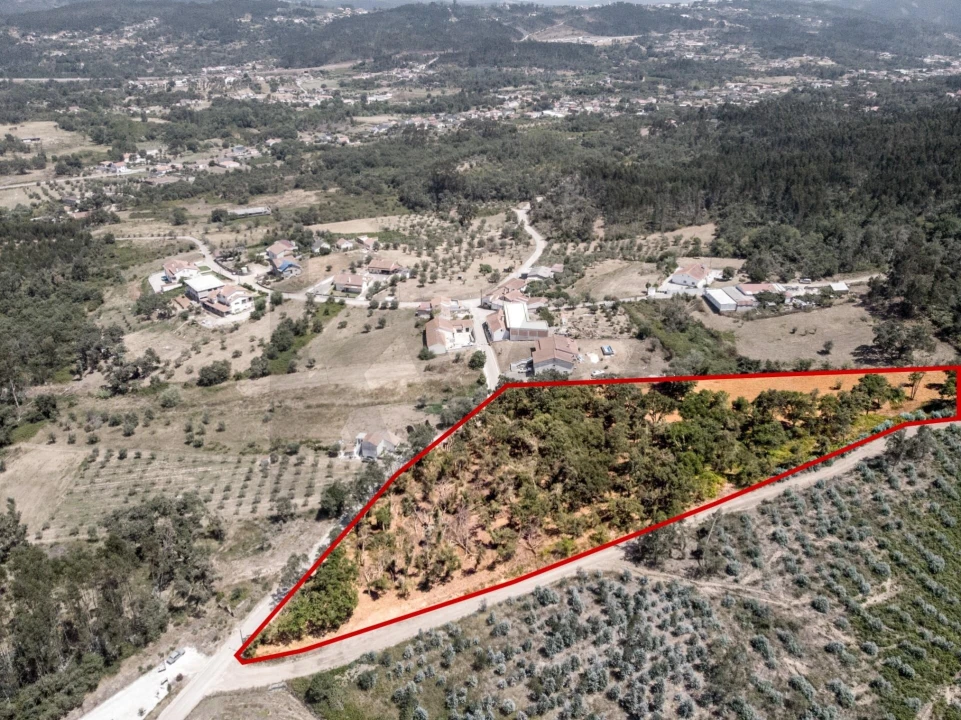 Terreno para Venda em Chão de Couce Foto 13