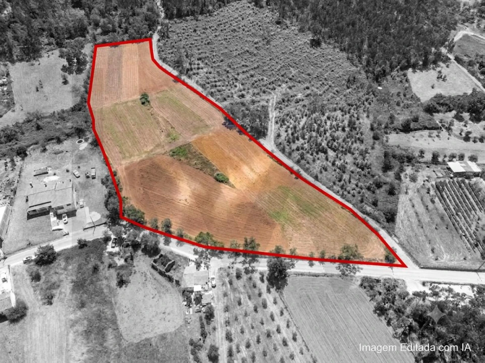 Terreno para Venda em Chão de Couce Foto 8