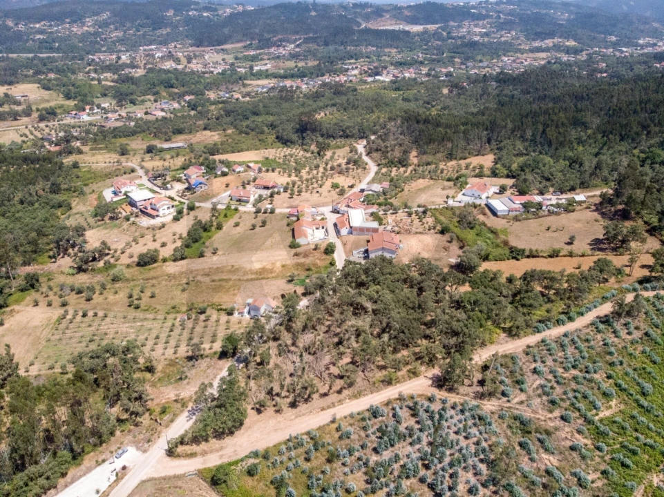 Terreno para Venda em Chão de Couce Foto 20
