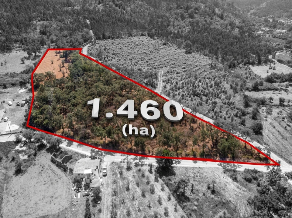 Terreno para Venda em Chão de Couce Foto 1